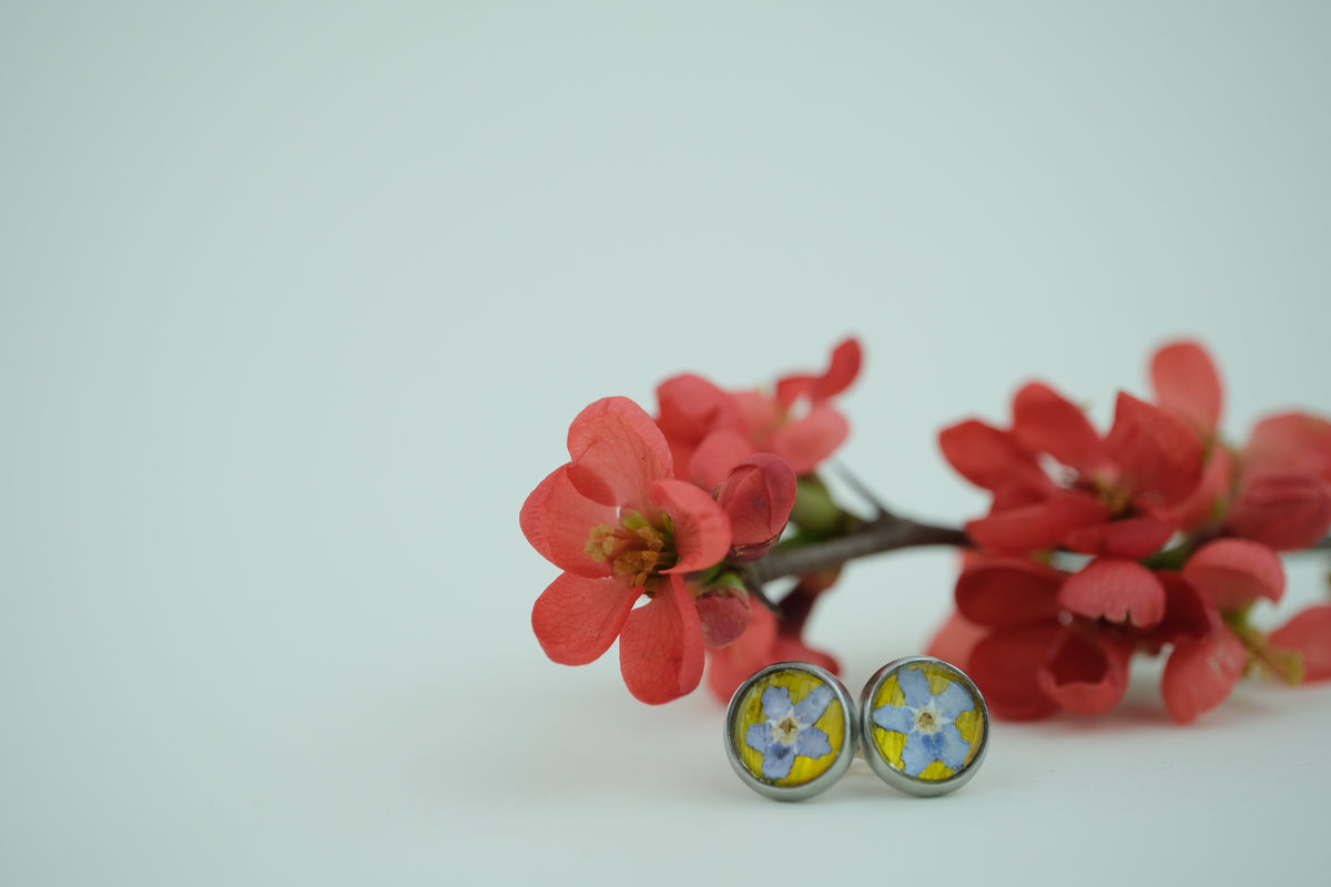 Ohrstecker mit echten Wildblüten "Wildflower Studs"